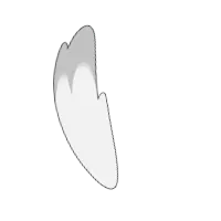 Tail_003